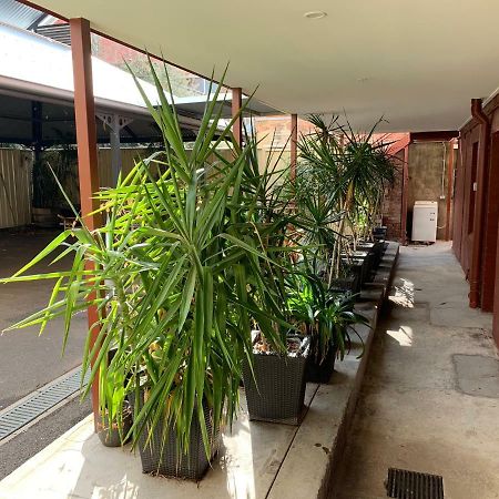 بينديجو Crown Cbd Motel - City Location المظهر الخارجي الصورة